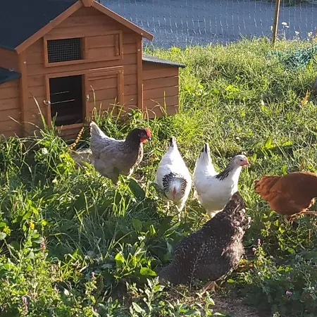 Des Bassins D'oche Maison d'hôtes 3*