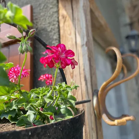 Des Bassins D'oche Maison d'hôtes Saint-Paul-en-Chablais