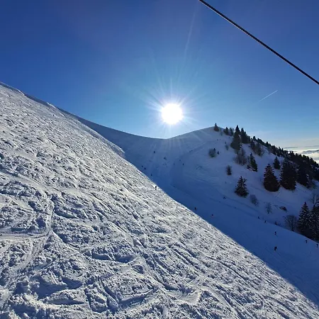 Des Bassins D'oche 게스트하우스 Saint-Paul-en-Chablais
