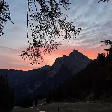 게스트하우스 Des Bassins D'oche Saint-Paul-en-Chablais