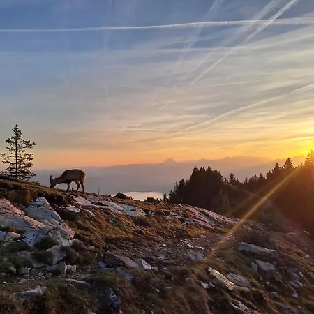 Des Bassins D'oche 게스트하우스 Saint-Paul-en-Chablais