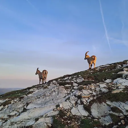 게스트하우스 Des Bassins D'oche Saint-Paul-en-Chablais